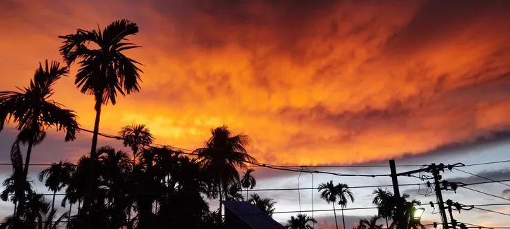 今天火紅的天空很美啊！（攝於加爾各答）