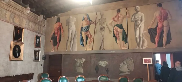 帕多瓦大學內部