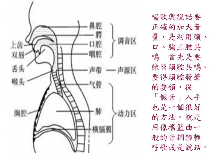 （圖面來源：人體共鳴器官）