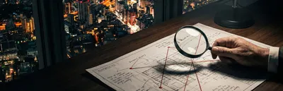 財鴿的社會生存學