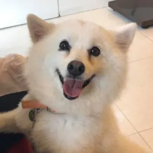 貝冷絲皇的沙龍