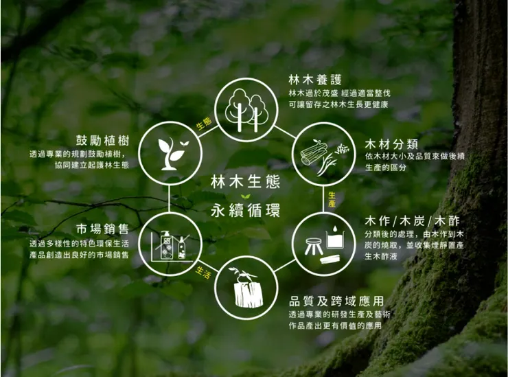 2015年畫下的森林循環藍圖，REWOOD！