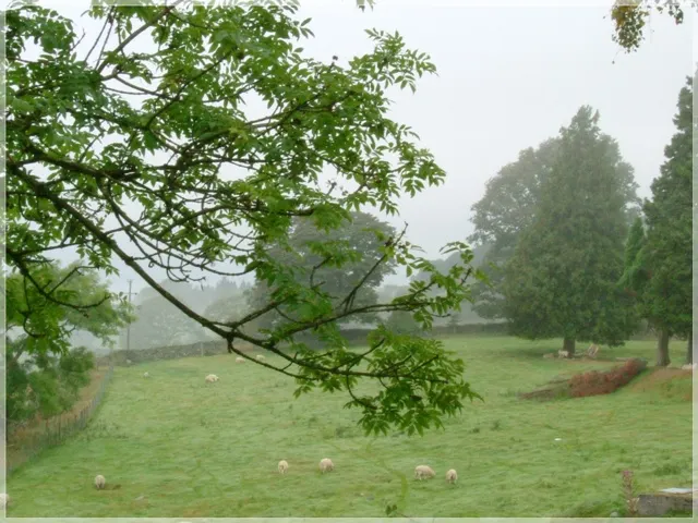 青年旅舍外的景致