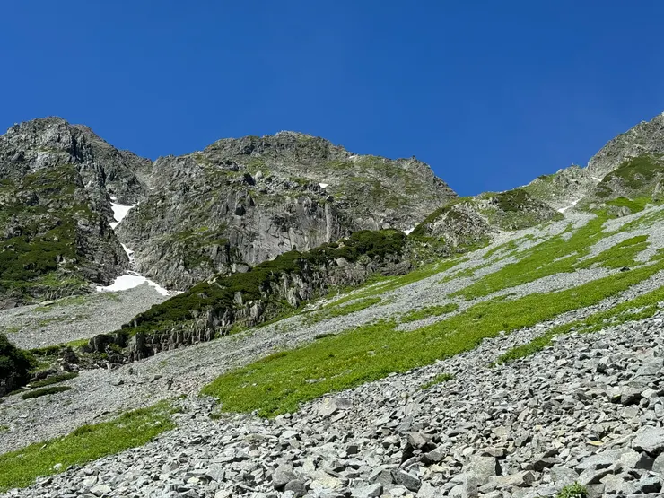 就是那道，看起來矮矮的、上頭長滿了「草」的牆