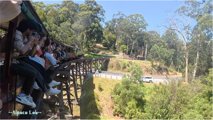 真的是一出發，第一個彎道就是了XD