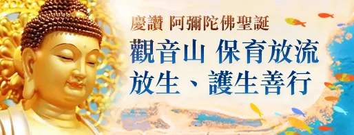 觀音山 保育放流放生、護生善行