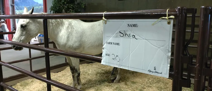 二十歲已不年輕了