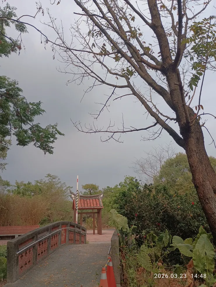 綠蔭掩情事何限，自拍攝