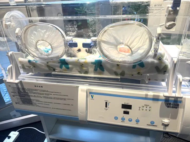 熊貓人工育嬰箱