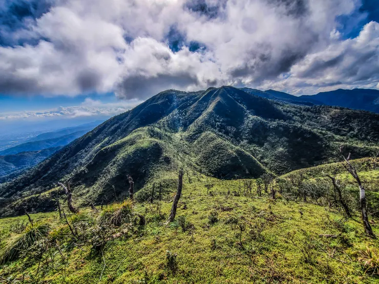 起伏不大的山丘