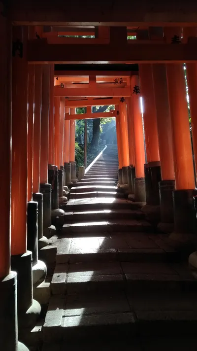 你也可以在脆看到我的身影