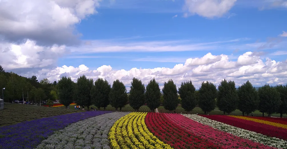 奇諾可非主流世界