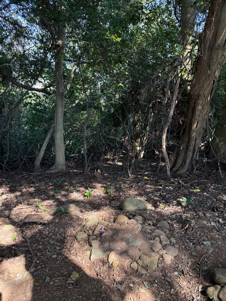 2026/03/15 轉頭和圓圓相約下一次再見