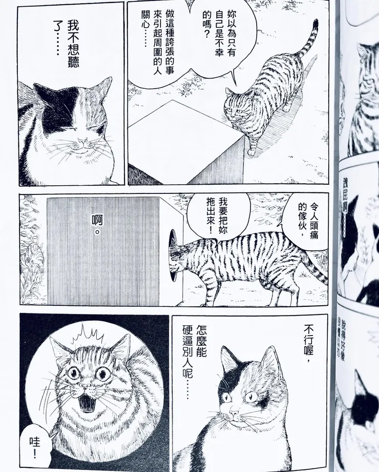〈缺貓〉