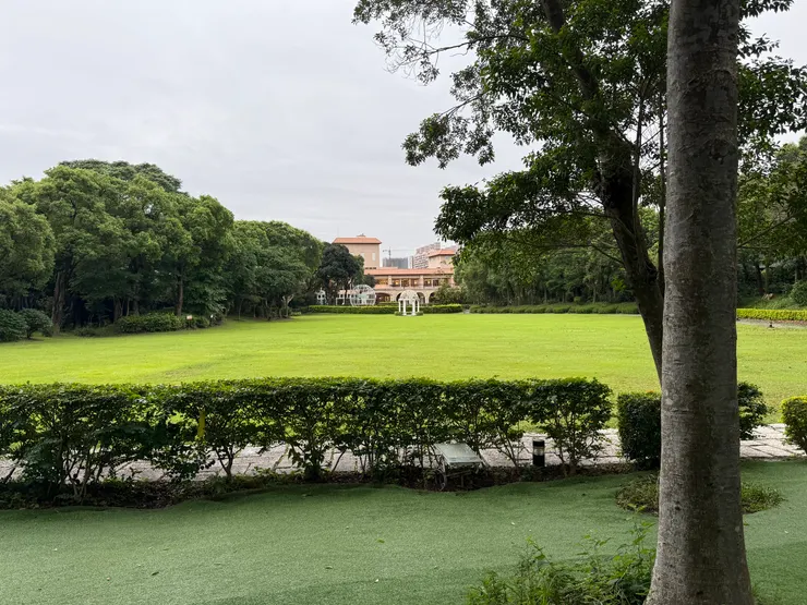 2026/04/25 吃飯的環境