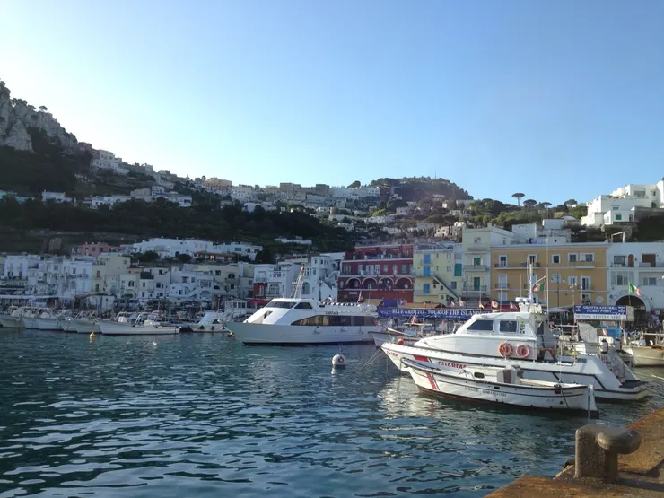 停靠了各式各樣的船隻