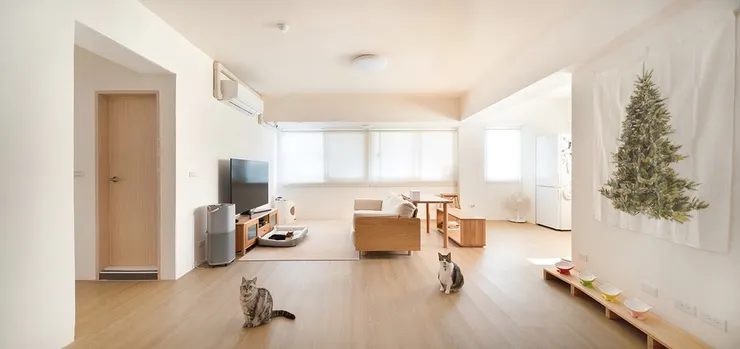 ▲SPC石塑木紋地板:日本棕柚木(圖片提供/90s科技家居)