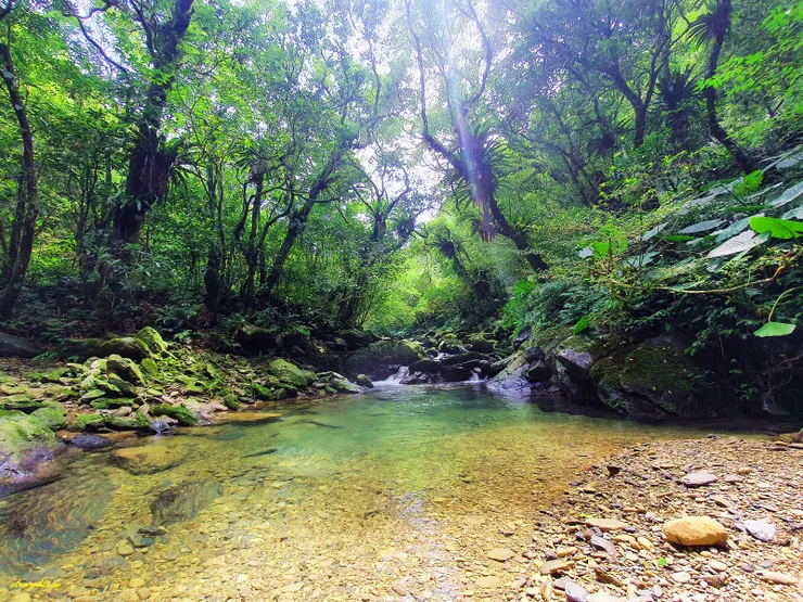 來到桶後溪畔,隨處可見碧綠清潭,美如仙境