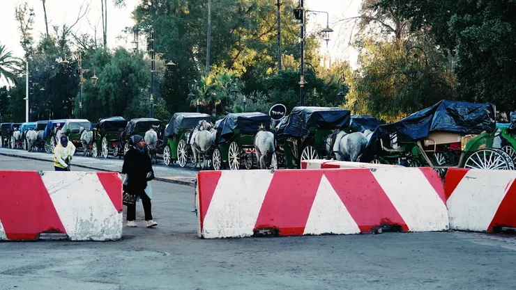 馬車排隊等排班