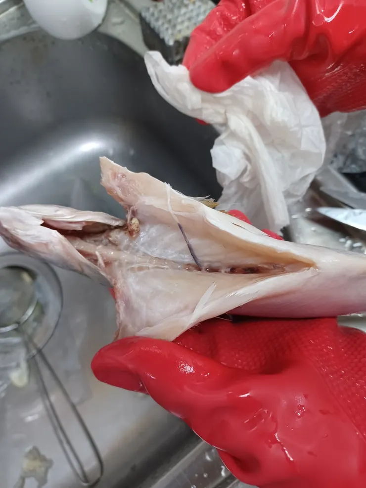 非常乾淨的內部😆