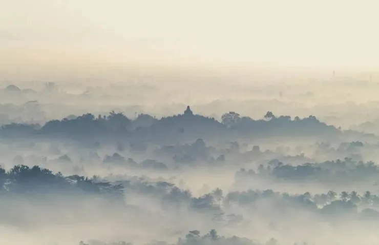 Photo by Sebastian Staines on Unsplash