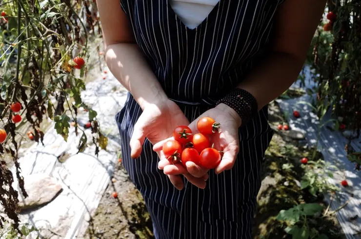 你的走肉朋友 Your Vegan Friend – Cathy Lee