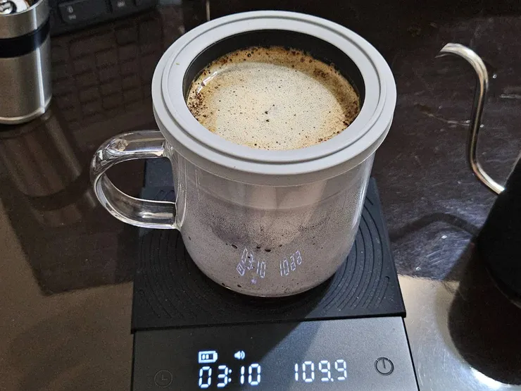 第一次給水，與ChatGPT確認幾次後才敢倒水