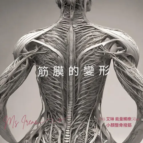 筋膜的變形