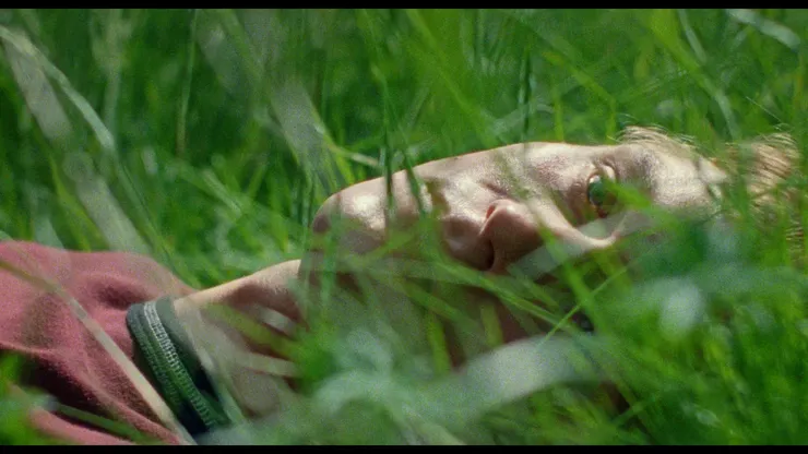 《你是不會當樹嗎》電影劇照／劇照提供：海鵬影業