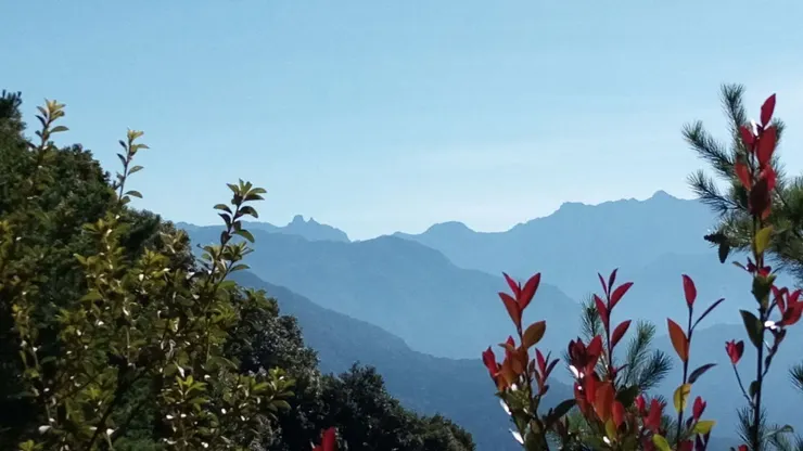 不同距離的灰藍