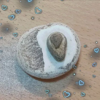 心，決定了怎麼活著。