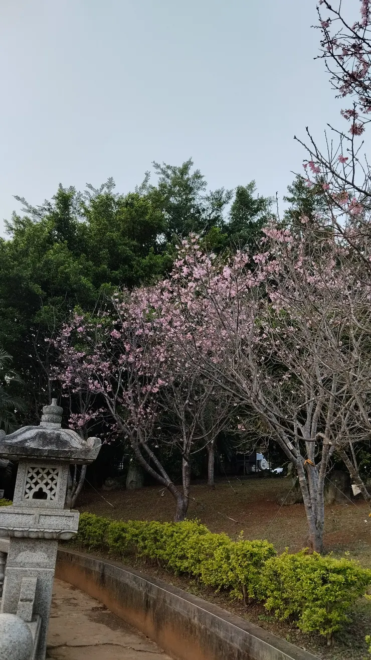 3/8照片