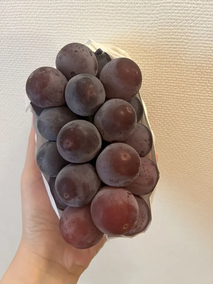 在台灣最想念的就是日本的超巨大葡萄，台灣價格昂貴捨不得買，來日本直接吃爆！這一串無籽葡萄不到300台幣好好吃好快樂