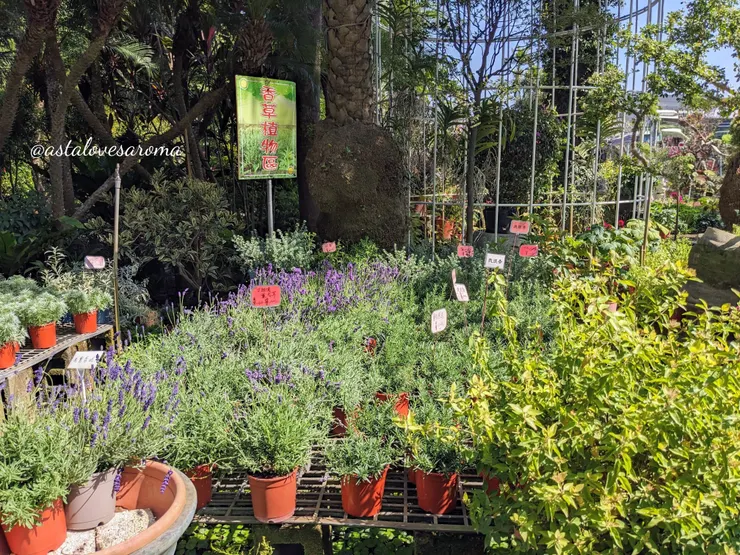 香草植物區