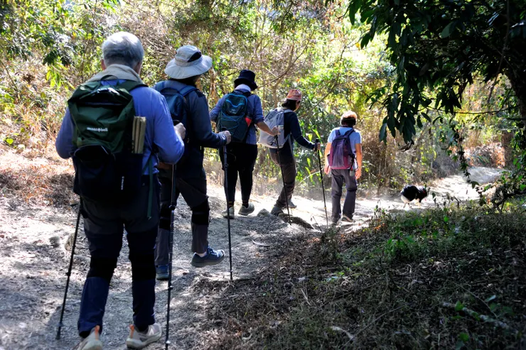 【林間幽徑不往孤寂通向歡聲笑語】