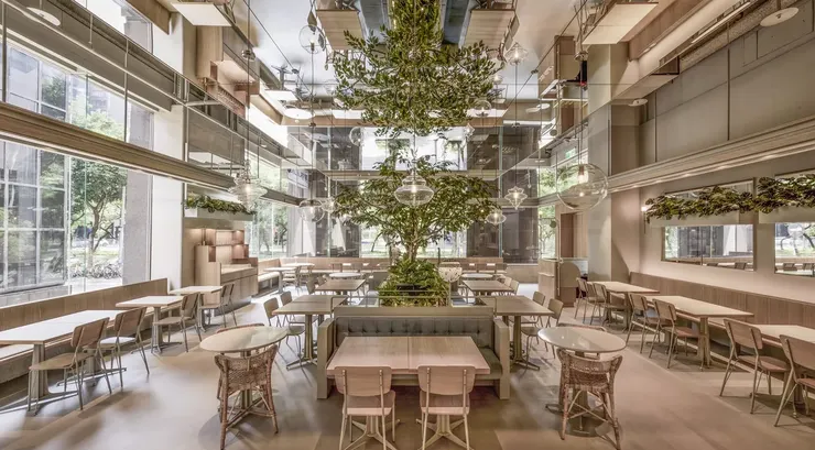 小小樹食希望能讓自然健康飲食走入日常