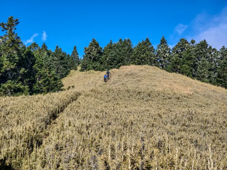 往志佳陽三角峰前進