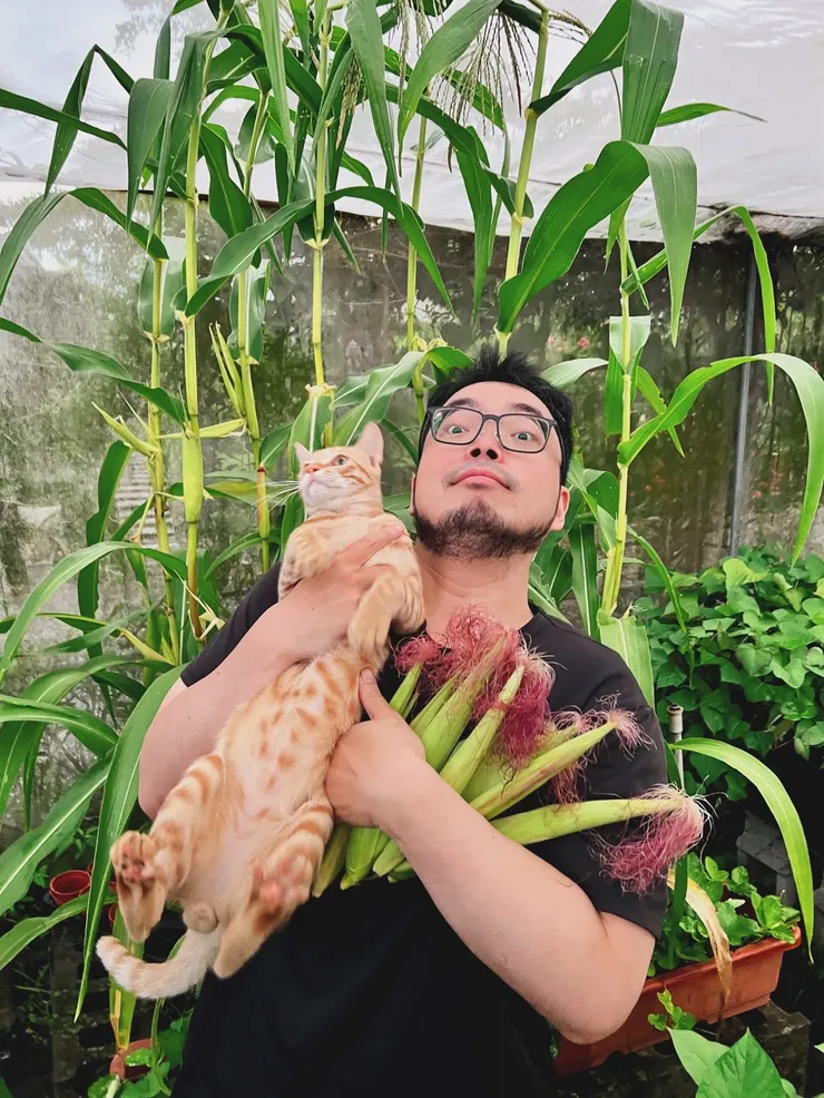 vocus|新世代的創作平台