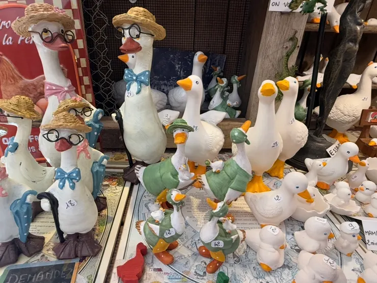 它們說，帶我回家吧！