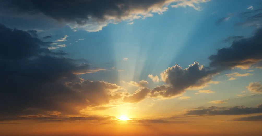 哲行修煉所的沙龍