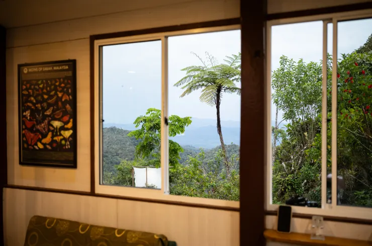 我最喜歡的婆羅洲叢林少女營地餐廳窗景