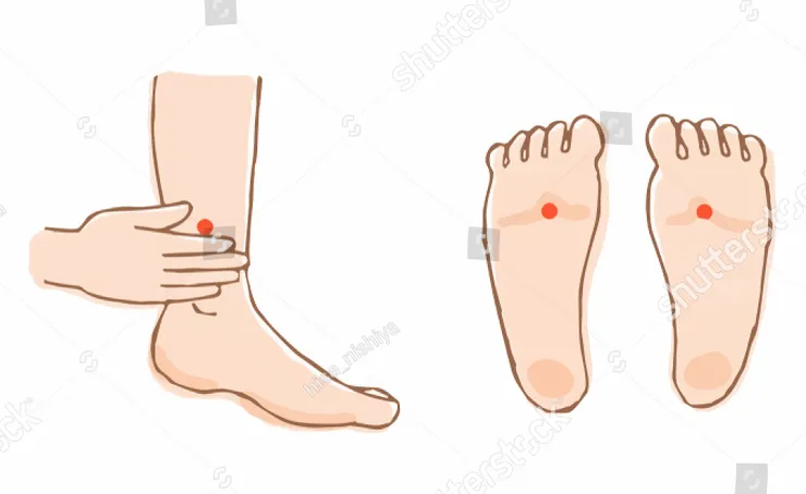 左：三陰交 ｜ 右：湧泉穴