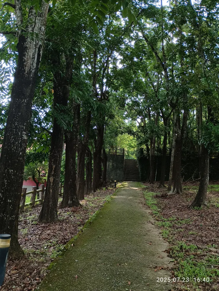 林昏蒼茫沉鬱合，自拍攝