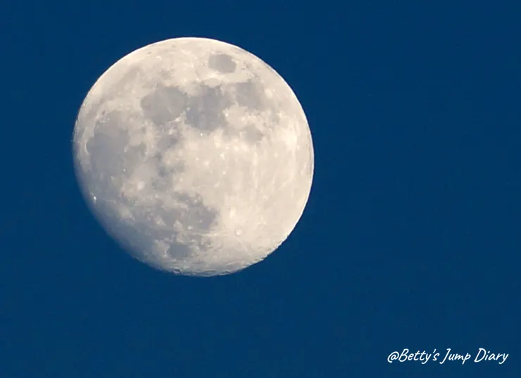 ▲「大自然文化世界園區」停車場/圖片來源:Betty's Jump Diary