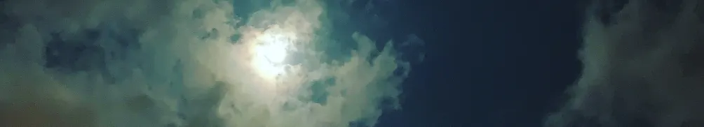格子貓的沙龍