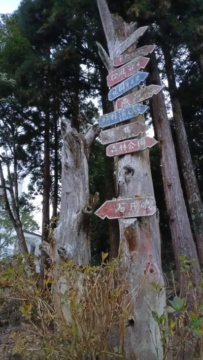 《從敏感到自我引導：我如何學會帶自己走》