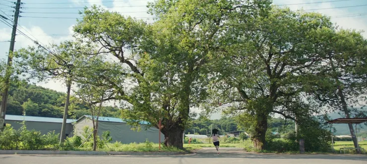 《依然閃亮》JTBC ep1截圖