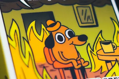 你認識這隻狗狗嗎？