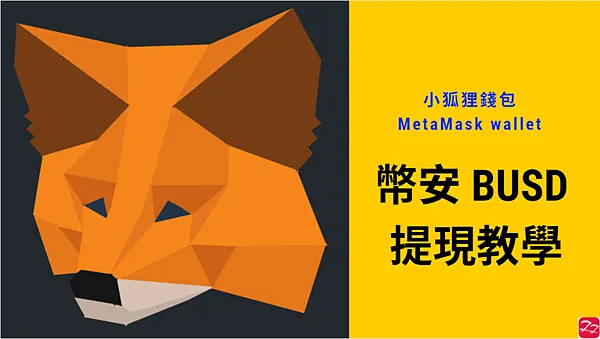 Metamask｜圖解教學 透過幣安交易所， 發送 BUSD 到 Metamask錢包