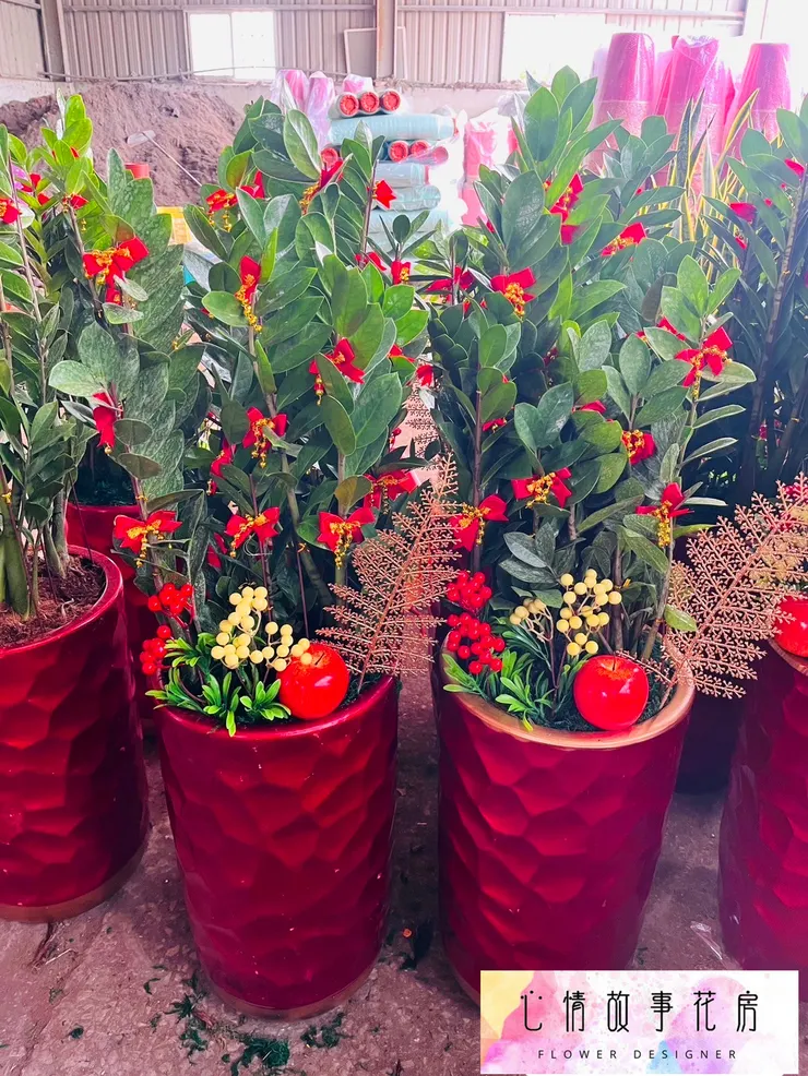 台南人推薦的開工植物盆栽！企業、銀行、醫院愛用，招財又大器！